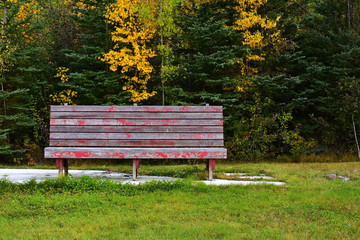 Old Red Park Bench