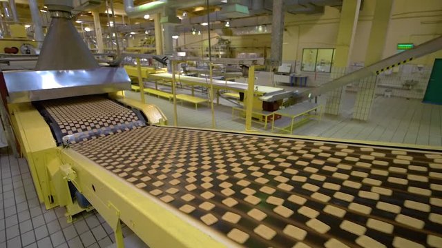 Confectionery. Production Line for Baking Cookies. Conveyor with Cookies