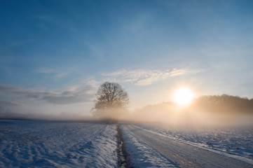 Sunrise over a country road covered in snow - obrazy, fototapety, plakaty