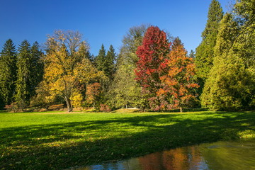 Fototapeta premium Autumn landscape with colorful, yellow, red and orange trees, green grass, black shadows, water in foreground, sunny day, blue sky in a park