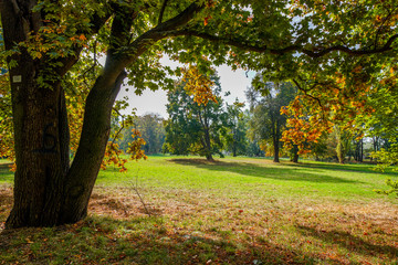 Park im Herbst