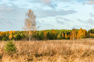 Russian North. Autumn