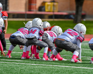 Little boys and girls playing youth tackle football