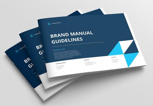 Brand Manual Layout With Blue Accents