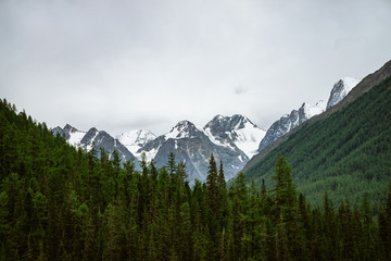 Snowy mountain top between big mountains under overcast sky. Rocky ridge in overcast weather above forest. Giant glaciers. Atmospheric minimalist landscape of majestic nature.