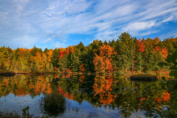Fall Reflection 