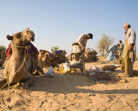 Men in desert with camels