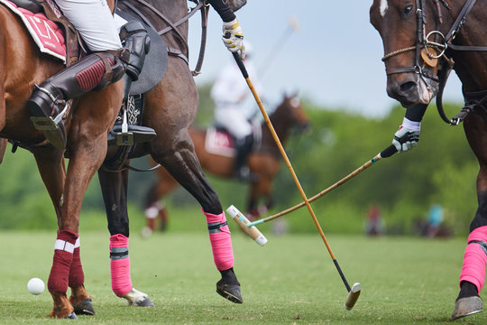 horse polo, tacos cruzados