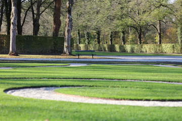Lonely bench behind grass decorations