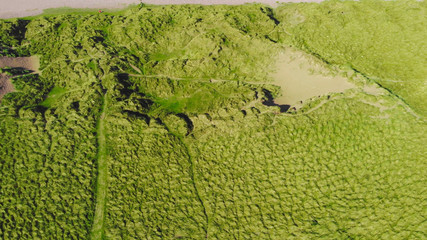 Aerial view over the green grassy dunes at the Irish coast