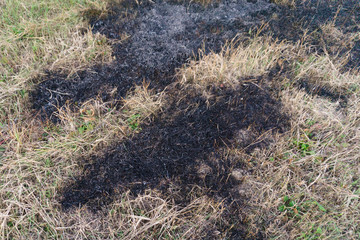 Dry burnt grass on the field, air pollution