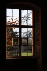 Fototapeta na wymiar Window with autumn colours outside