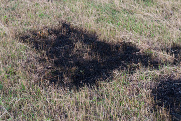 Dry burnt grass on the field, air pollution