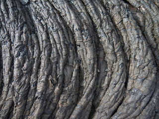 surface fusiform folds of the frozen lava flow of Tolbachik volcano