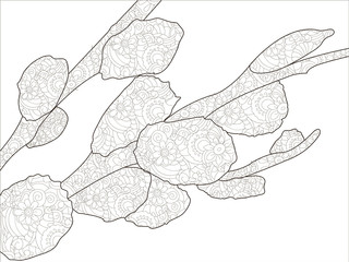 Anti stress coloring for adults. Blooming pussy willow branch on white background. Orthodox holiday, easter. Black lines