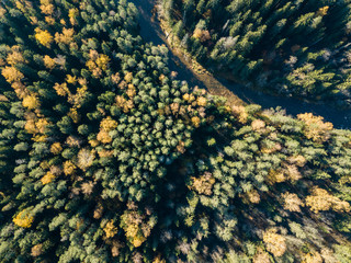 drone image. aerial view of wavy river in autumn colored forest