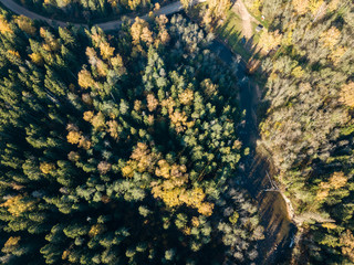 drone image. aerial view of wavy river in autumn colored forest