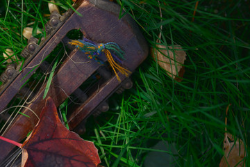 Mandolin handle on grass