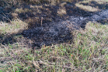 Dry burnt grass on the field, air pollution