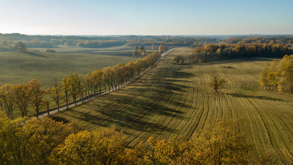 drone image. aerial view of rural area with fields and forests in autum