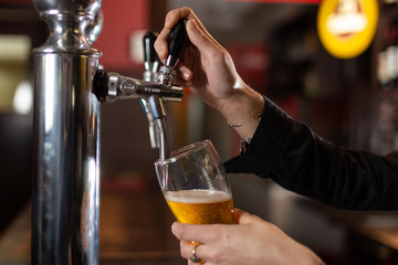 Girl hands serving a pint glass of cold and refreshing beer at a restaurant 