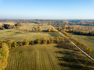 drone image. aerial view of rural area with gravel road in autumn colored fields and forests