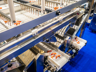 Food industry. Conveyor for processing sea products. Shrimp processing. Conveyor with shrimp....