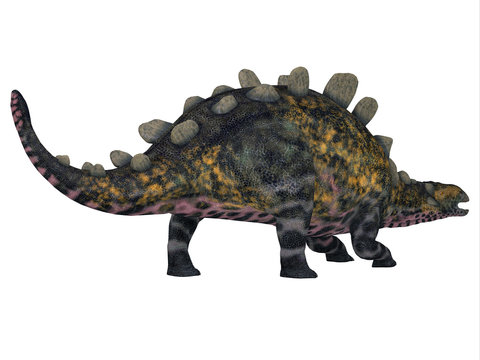 Crichtonsaurus Dinosaur Tail