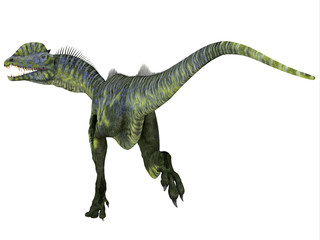 Fototapeta premium Dilophosaurus Dinosaur Running