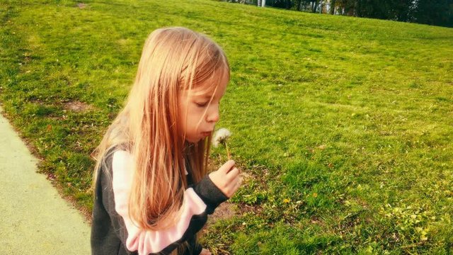 A little girl attempts to blow the seeds from a dandelion, filmed in UHD 4K