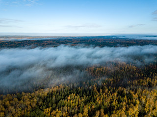 drone image. aerial view of rural area with fields and forests covered in mist