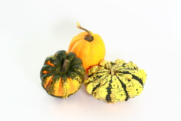 Close up view of group of colorful decorative pumpkins isolated on white background. Halloween holiday background / concept.
