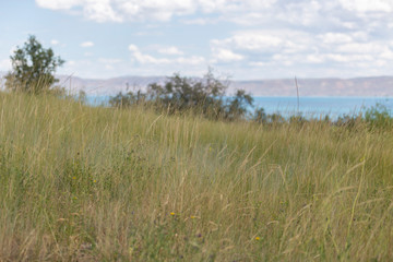 Obraz na płótnie Canvas Grass hill with lake overview.