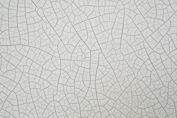 CLOSE UP OLD WHITE CRACKED PAINTED SURFACE