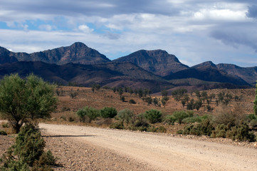 Moralana Scenic Drive between The Outback Highway and Flinders' Ranges Way, Flinders' Ranges, SA,...
