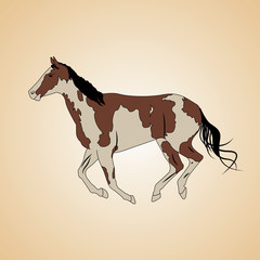 Paint Horse Vetor