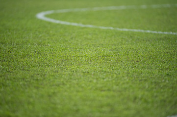 Selective focus, the grass on the pitch.