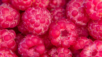 Fresh ripe raspberries close up. Texture