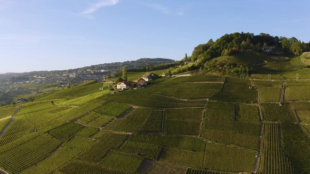 Aerial shot passing in near typical vineyard houses, Lavaux vineyard during harvest season
Le Daley, Lavaux - Switzerland