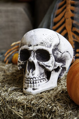 Scary halloween skulls