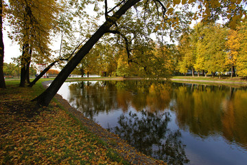 Multi Colored trees standing around a pond in a park