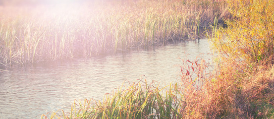 Banner natural autumn landscape river Bank dry grass reeds water nature Selective focus blurred background