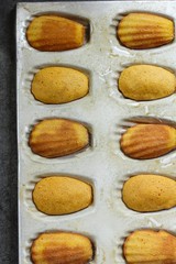 Fresh Baked Madeleines in a shell shaped mold pan overhead view