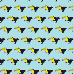 colombian tucan pattern