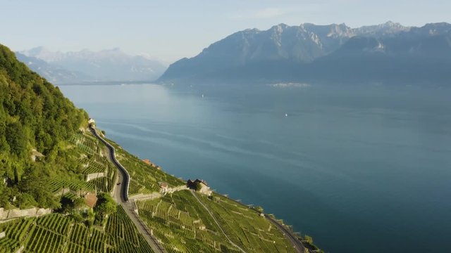 Flying high above steepest part of Lavaux and Lake L&radic;&copy;man
The Alps in the background
Lavaux - Switzerland