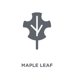 Maple leaf icon from Camping collection.
