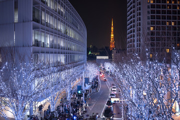 Illuminated Roppongi Keyakizaka Street and Tokyo Tower　六本木けやき坂イルミネーションと東京タワー - obrazy, fototapety, plakaty