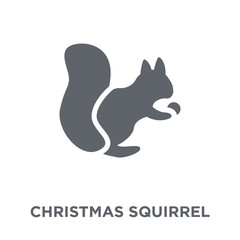 christmas Squirrel icon from Christmas collection.
