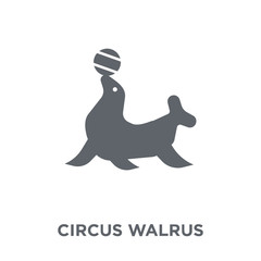 circus walrus icon from Circus collection.