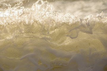 Splash of Seawater with Sea Foam and Waves